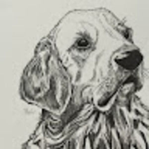 Meet your Posher, Mahi